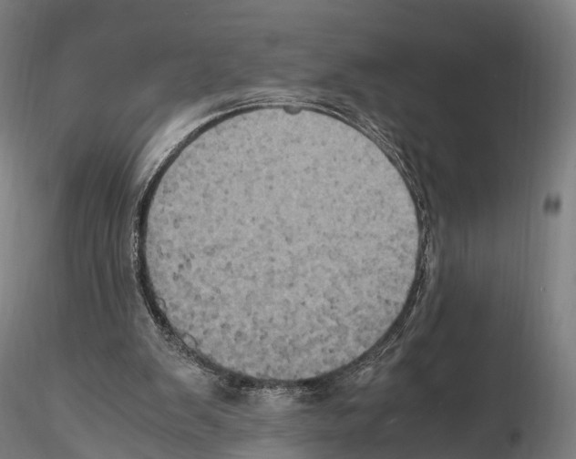 X0000114700103200912021117