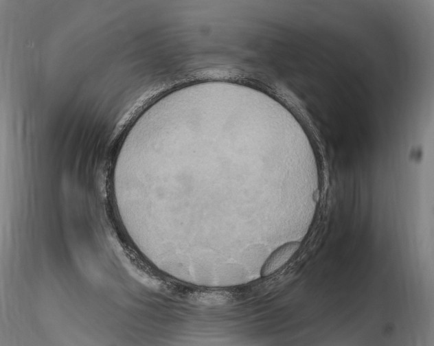 X0000114700106200912021117