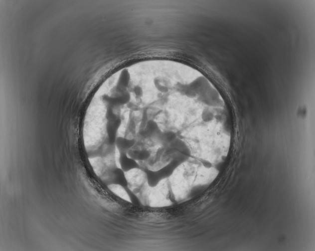 X0000114700107200912021116