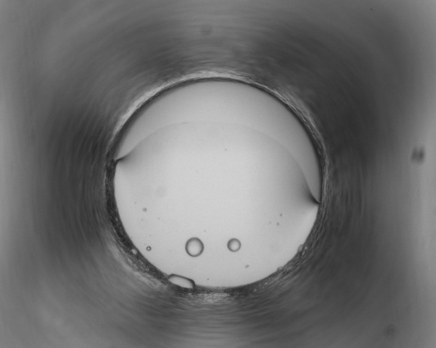 X0000114700108200912021116