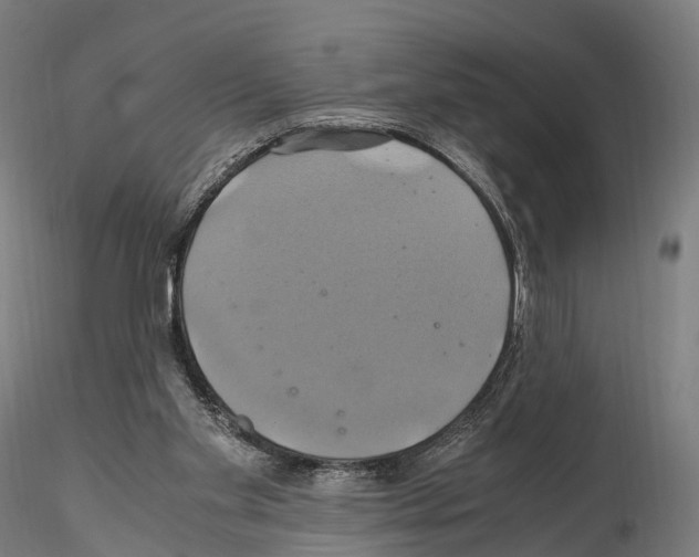 X0000114700109200912021116