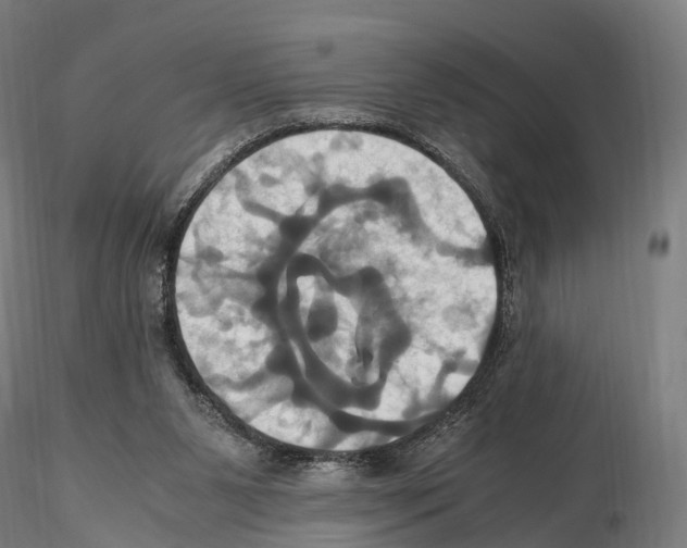 X0000114700111200912021116