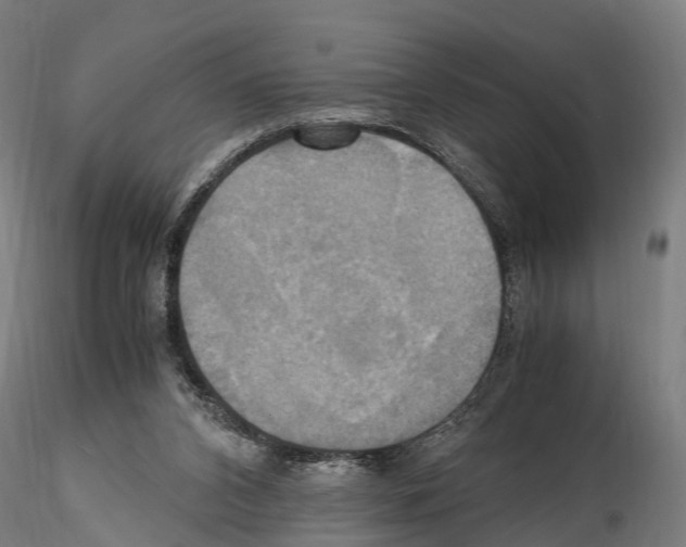 X0000114700112200912021116