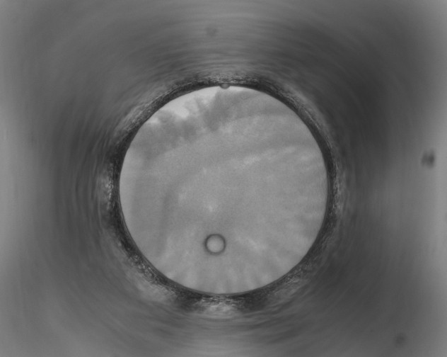 X0000114700113200912021116