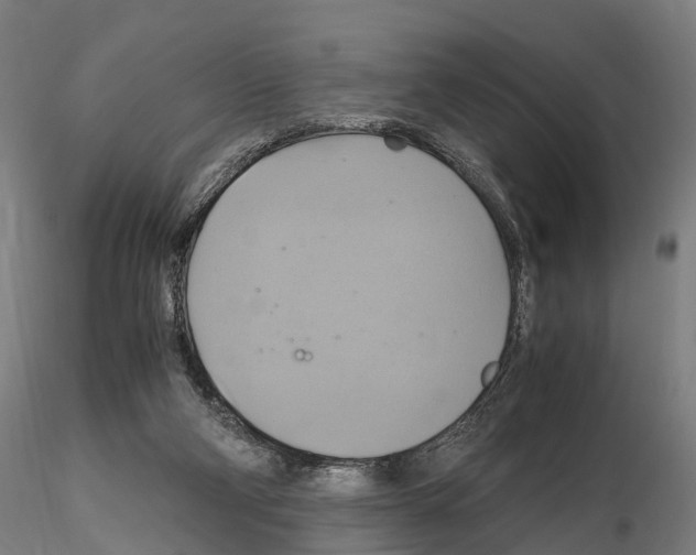 X0000114700114200912021116