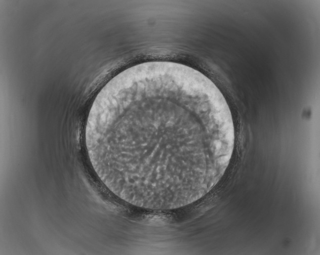 X0000114700115200912021116