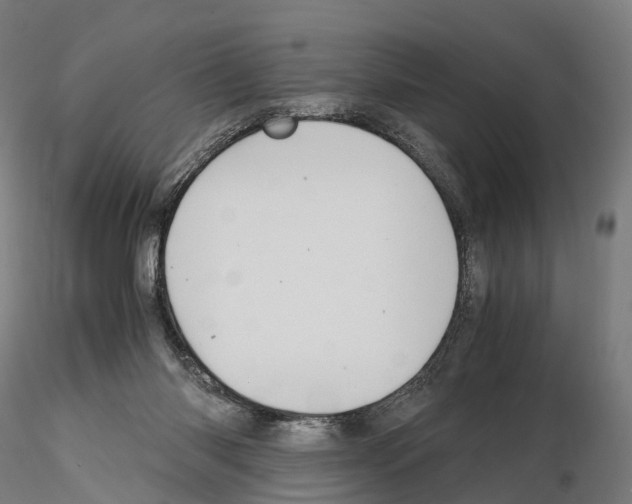 X0000114700118200912021116