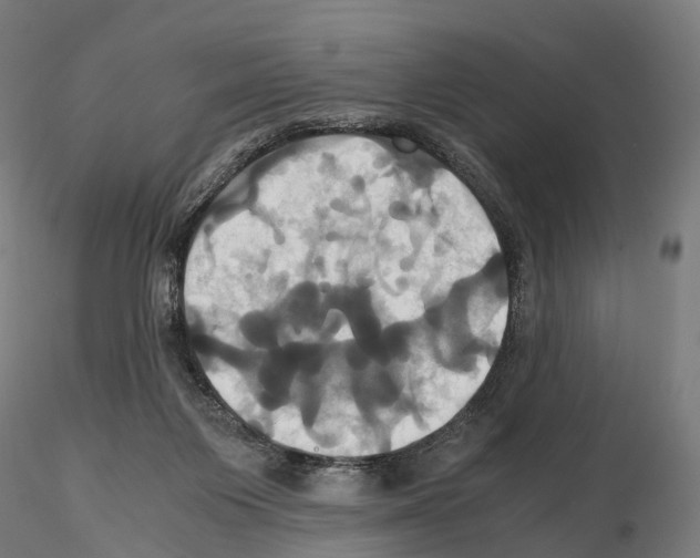 X0000114700119200912021116