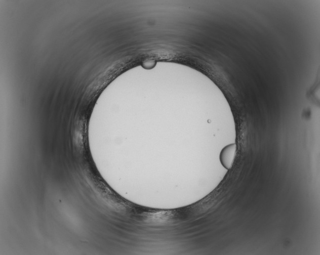 X0000114700122200912021116