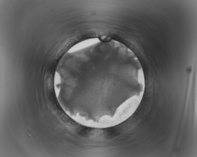 X0000114700123200912021116