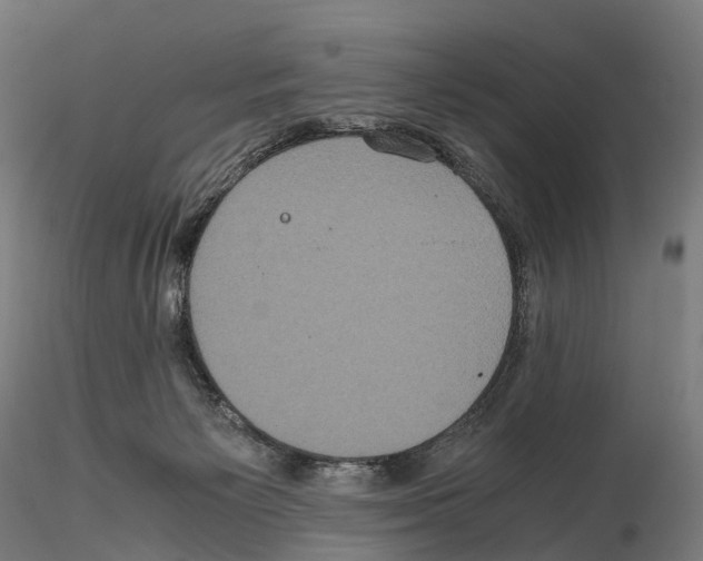 X0000114700125200912021116