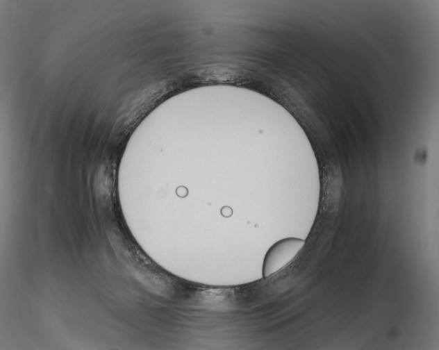 X0000114700126200912021116