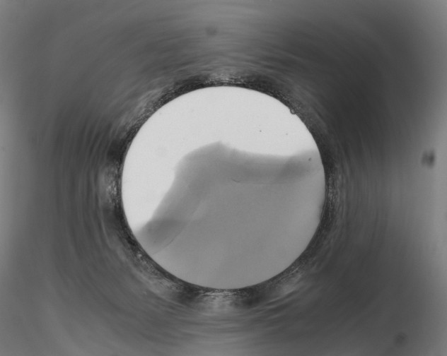 X0000114700127200912021116