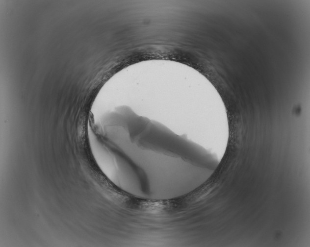 X0000114700131200912021116