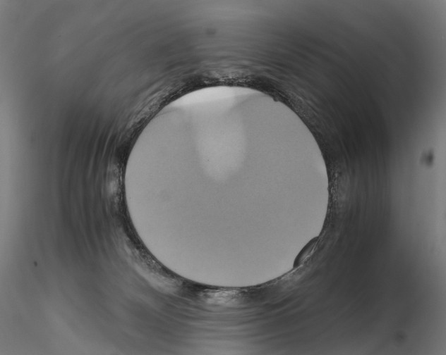 X0000114700132200912021116