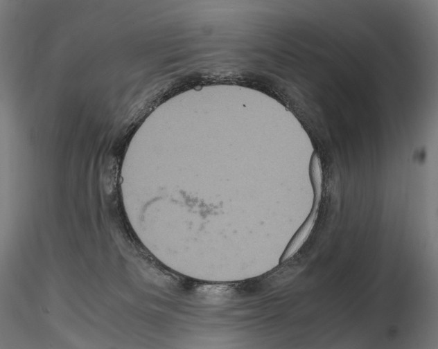 X0000114700133200912021116