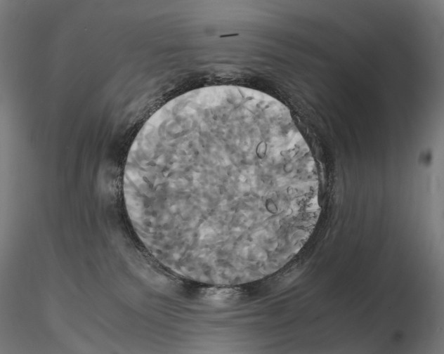 X0000114700135200912021116