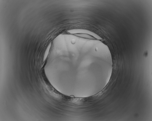 X0000114700136200912021116