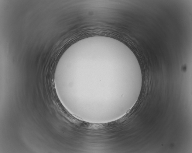 X0000114700137200912021116