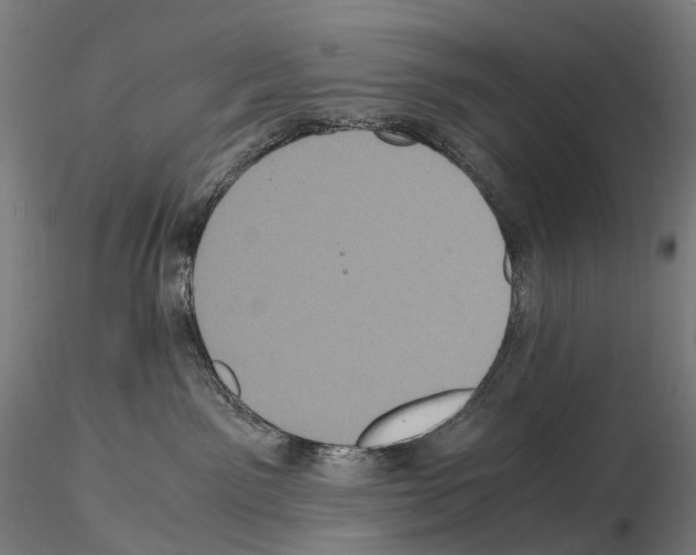 X0000114700141200912021116