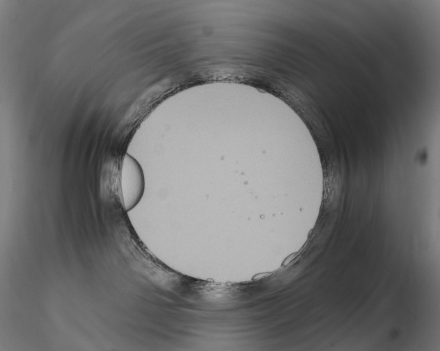 X0000114700142200912021116