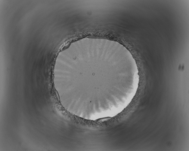 X0000114700144200912021116