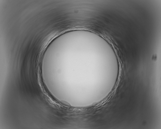 X0000114700145200912021115