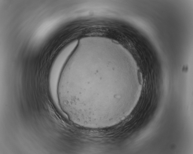 X0000114700146200912021115