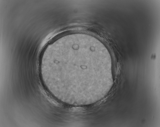 X0000114700150200912021115