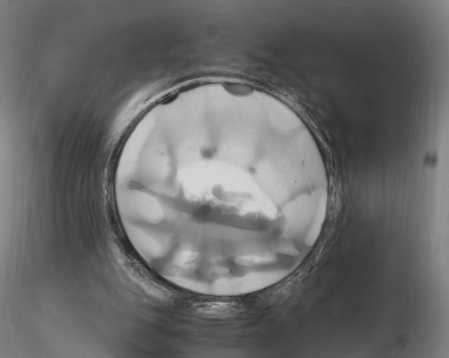 X0000114700151200912021115