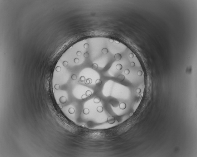 X0000114700153200912021115