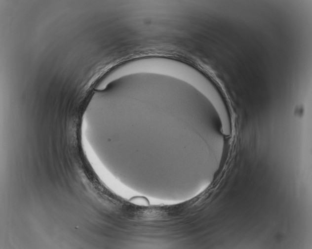 X0000114700154200912021115