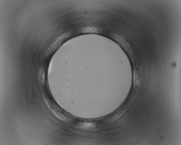 X0000114700157200912021115