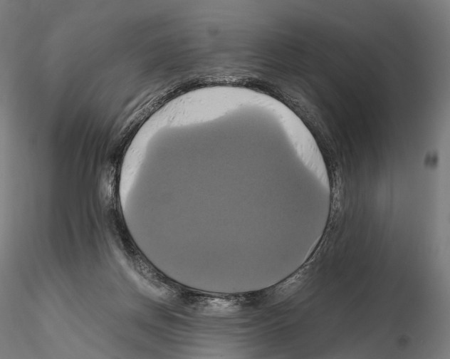 X0000114700166200912021116