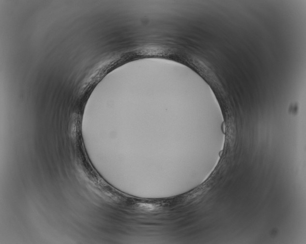 X0000114700167200912021116