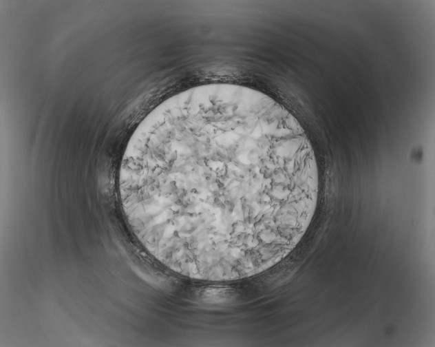 X0000114700173200912021116