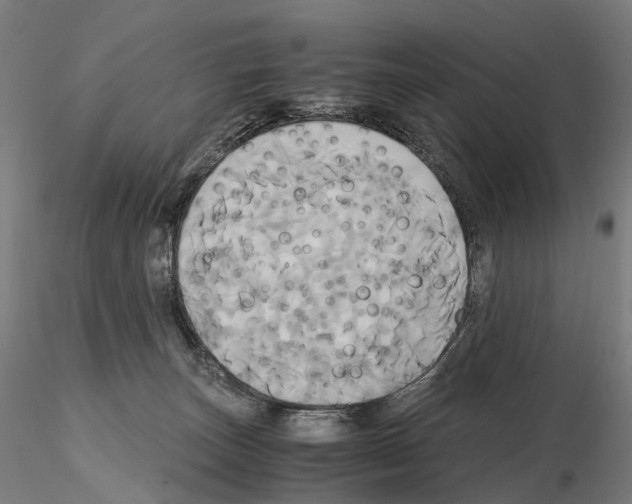 X0000114700179200912021116