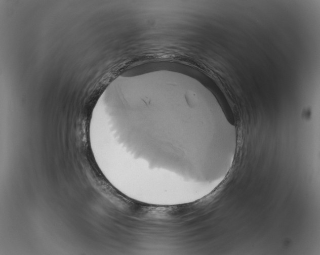 X0000114700182200912021116