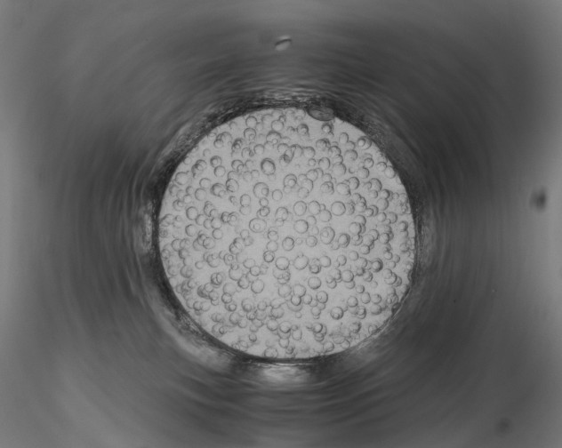 X0000114700183200912021116