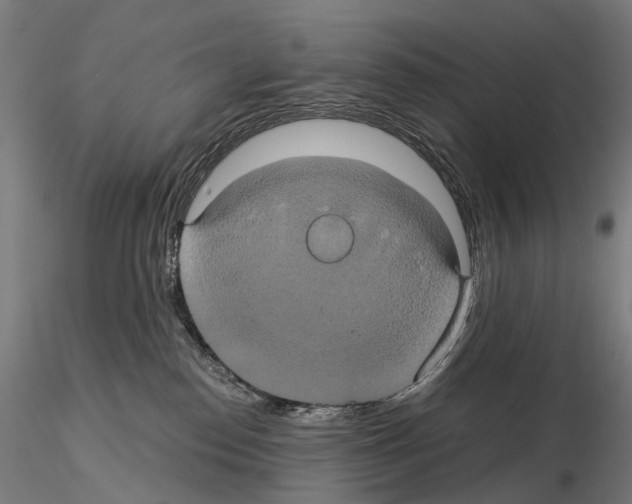 X0000114700186200912021116