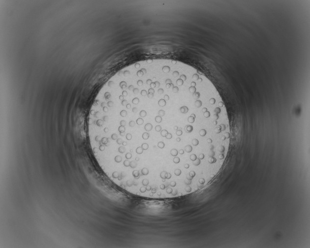 X0000114700187200912021116