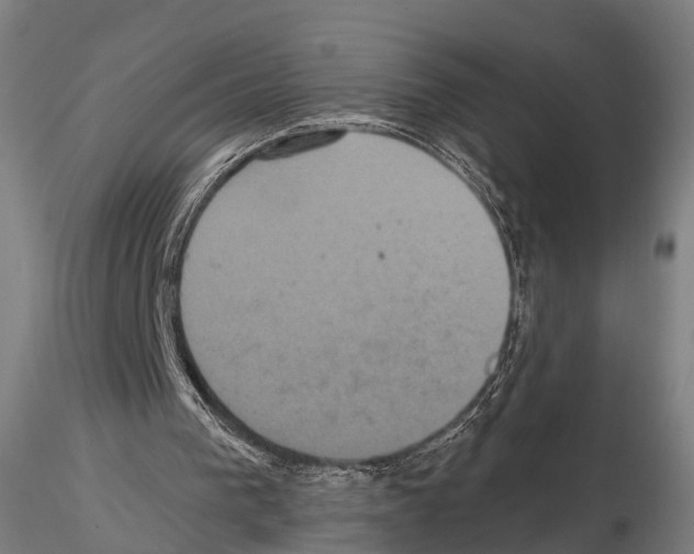 X0000114700193200912021115