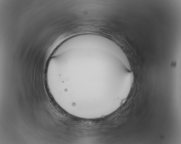 X0000114700195200912021115