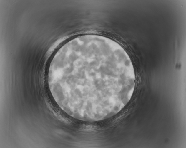 X0000114700200200912021115