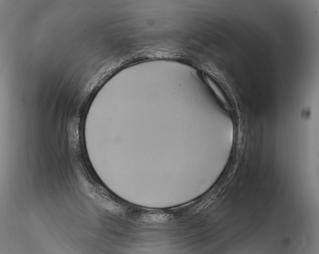 X0000114700202200912021115