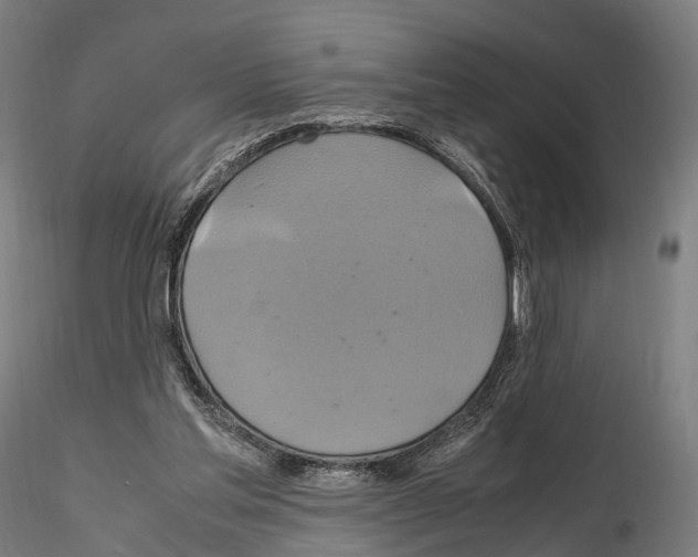 X0000114700205200912021115