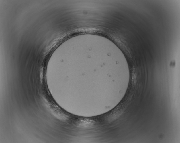 X0000114700206200912021115