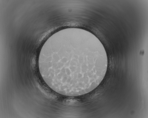 X0000114700208200912021115