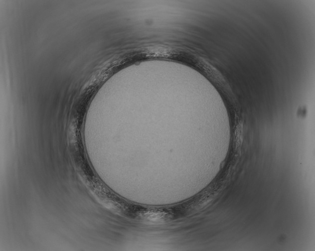 X0000114700209200912021115