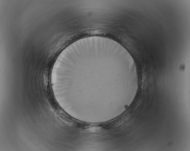 X0000114700210200912021115